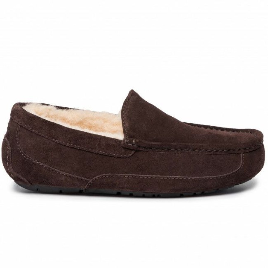 Men'S Shoes * | Slippers Ugg M Ascot 1101110 M/Esp Brown