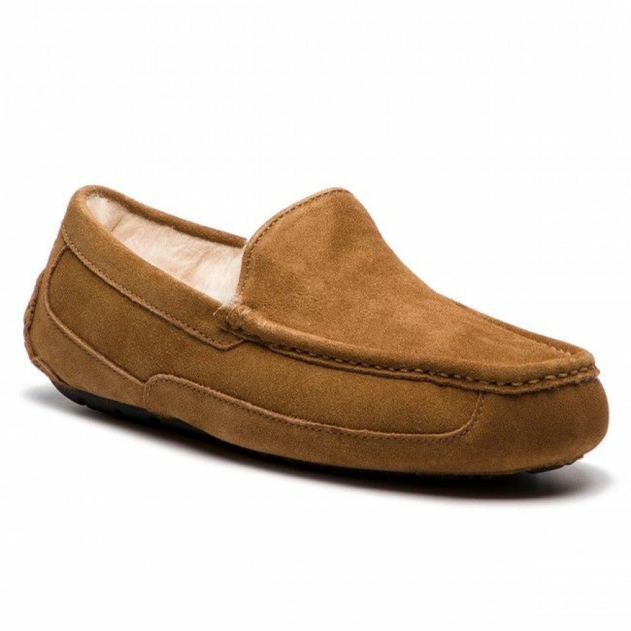 Men'S Shoes * | Slippers Ugg M Ascot 1101110 M/Che Brown